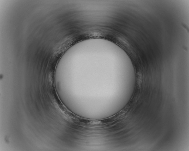 X0000103950410200809191215