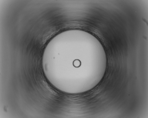 X0000103950411200809191215