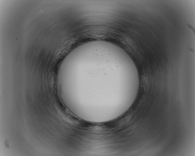 X0000103950412200809191215