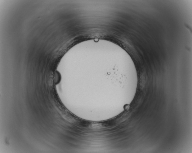 X0000103950413200809191215