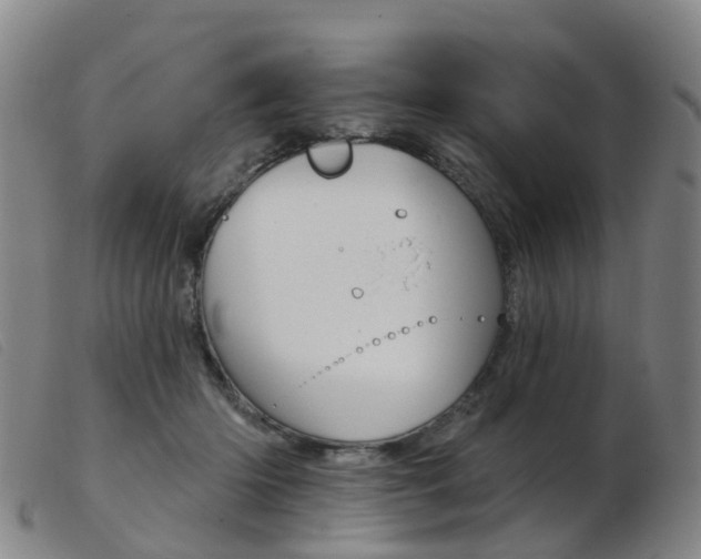 X0000103950414200809191215