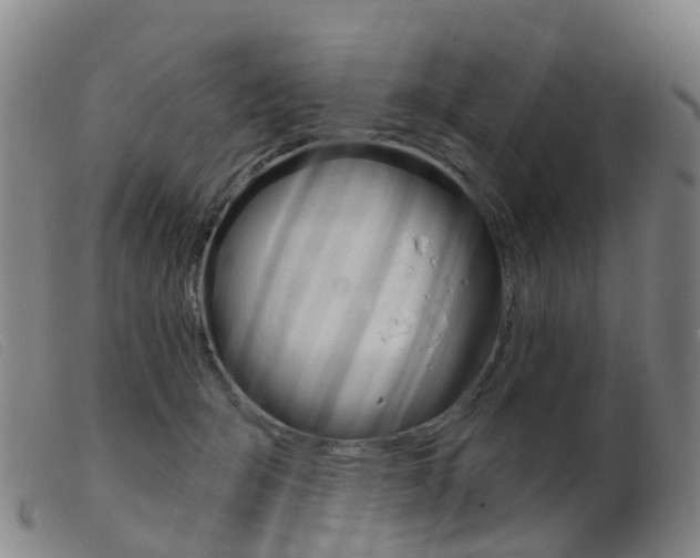 X0000103950415200809191215