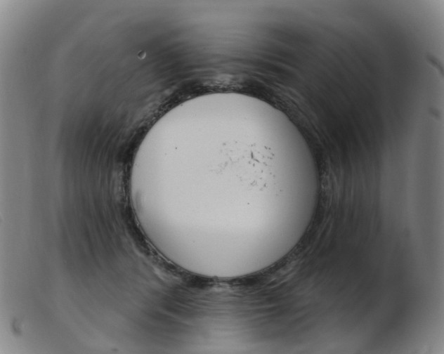 X0000103950416200809191215
