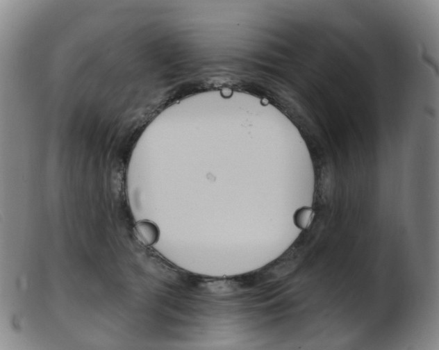 X0000103950417200809191215