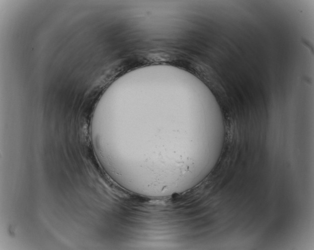 X0000103950418200809191215
