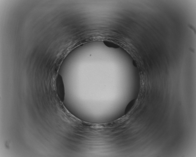 X0000103950419200809191215