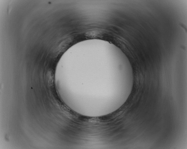X0000103950420200809191215