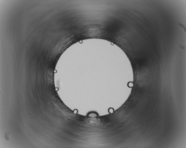 X0000103950421200809191215