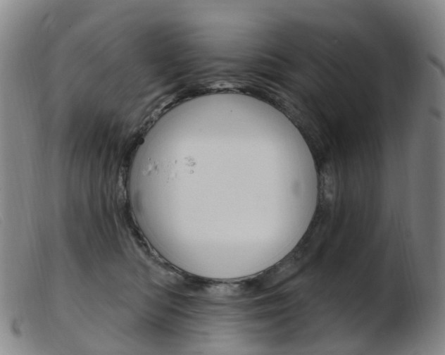 X0000103950422200809191215