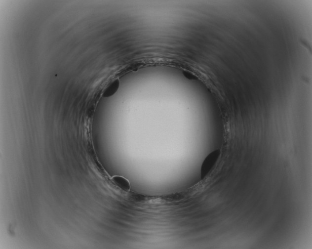 X0000103950423200809191215