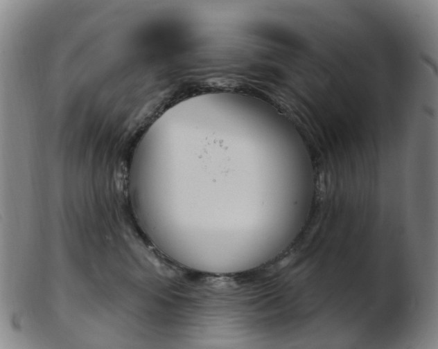 X0000103950424200809191215