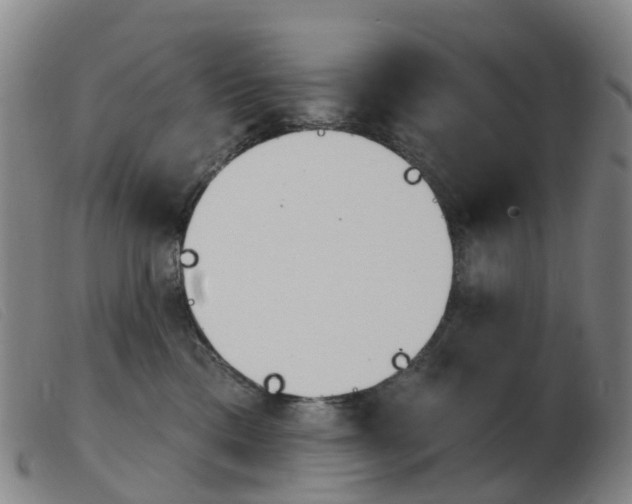X0000103950425200809191215