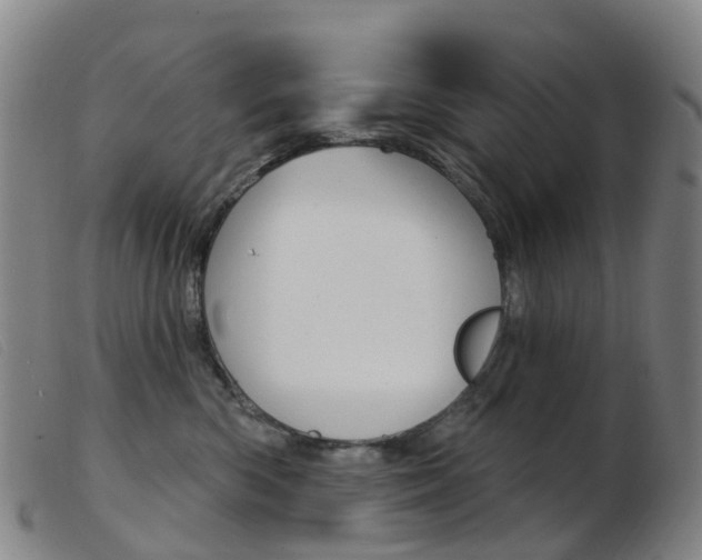 X0000103950426200809191215