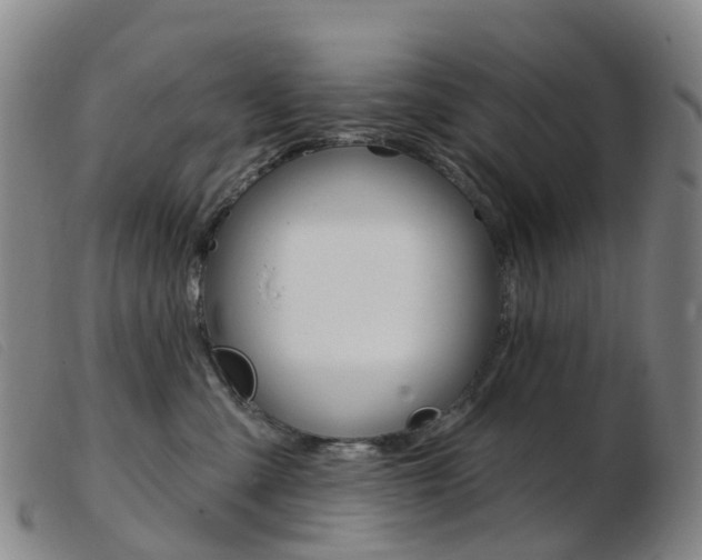 X0000103950427200809191215