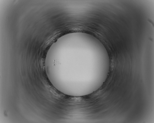X0000103950428200809191215