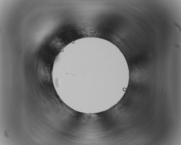 X0000103950429200809191215
