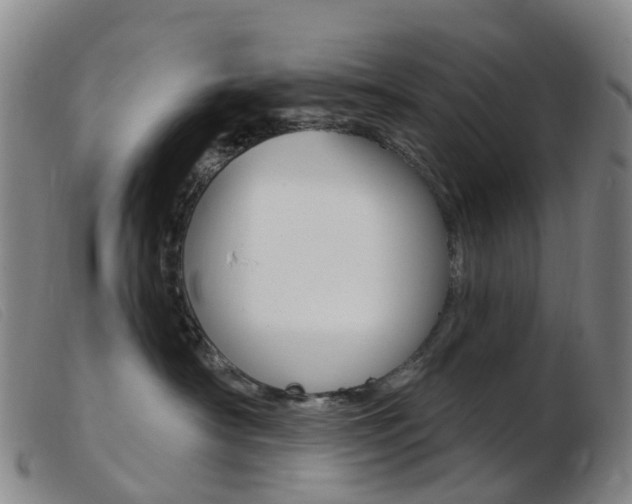X0000103950430200809191215