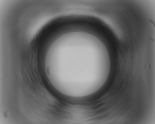 X0000103950431200809191215