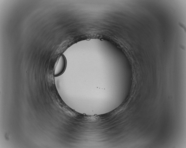 X0000103950432200809191215