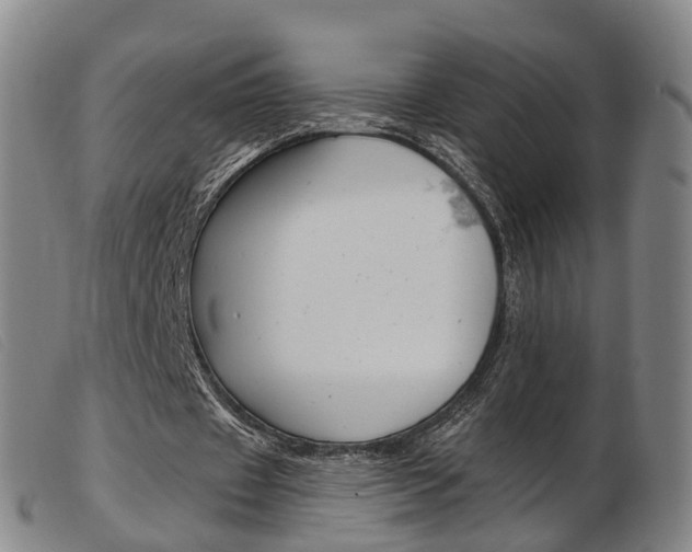 X0000103950433200809191214