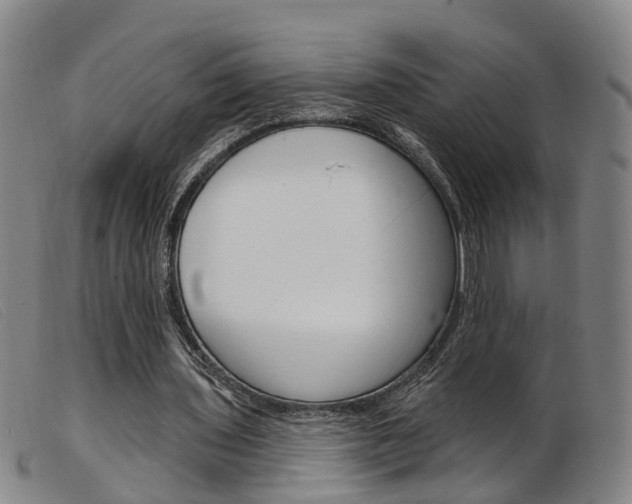 X0000103950435200809191214