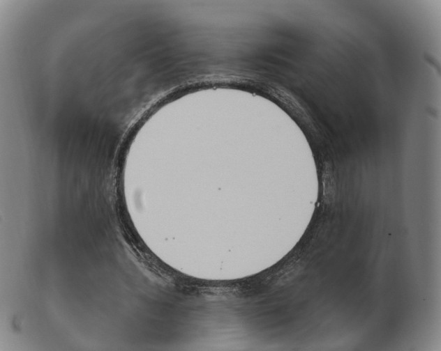 X0000103950436200809191214