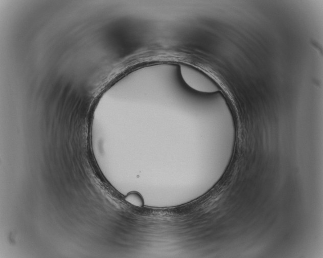 X0000103950437200809191214