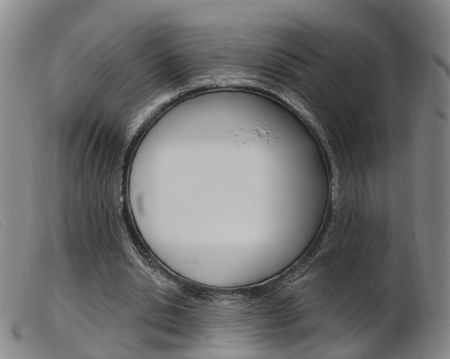 X0000103950438200809191214