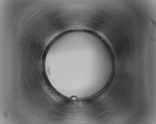 X0000103950439200809191214