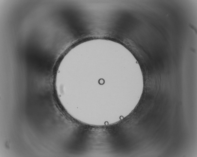 X0000103950440200809191214