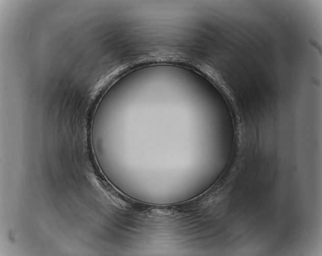 X0000103950442200809191214