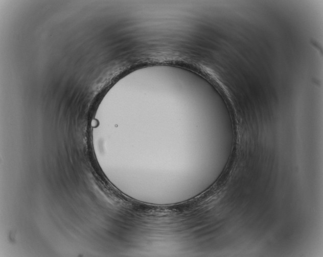 X0000103950443200809191214