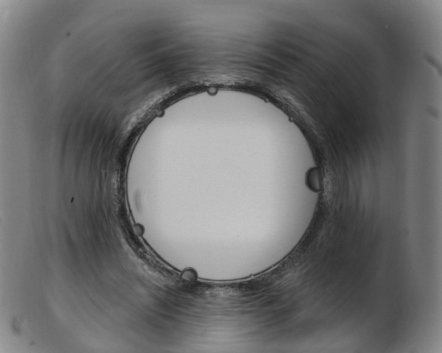 X0000103950444200809191214