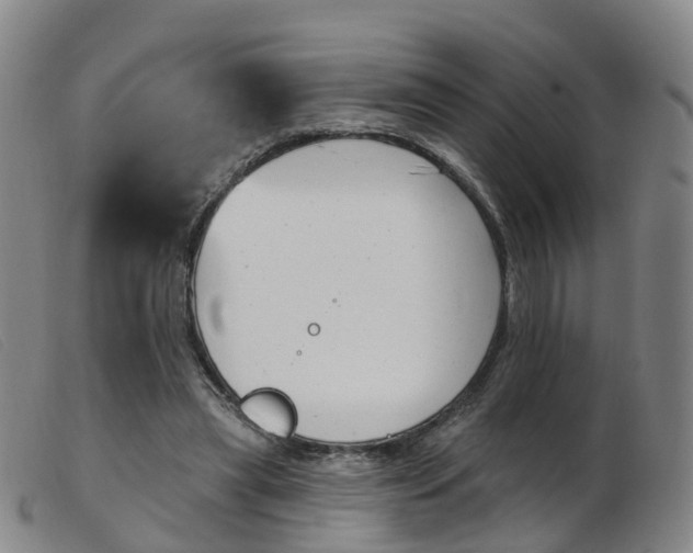 X0000103950445200809191214