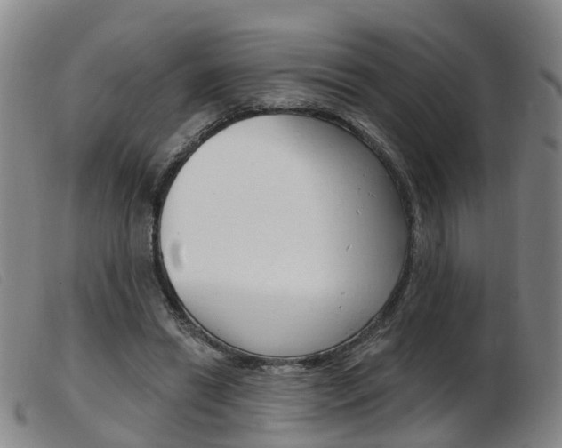 X0000103950446200809191214