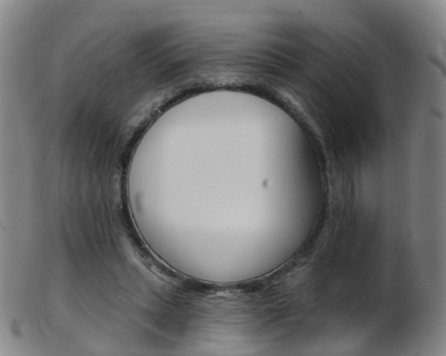 X0000103950447200809191214