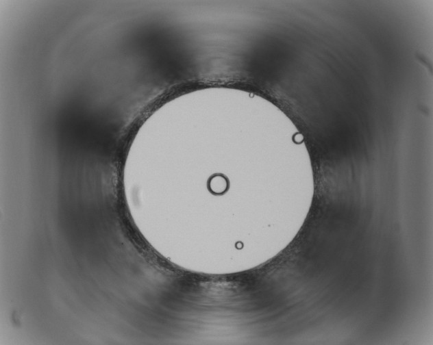X0000103950448200809191214