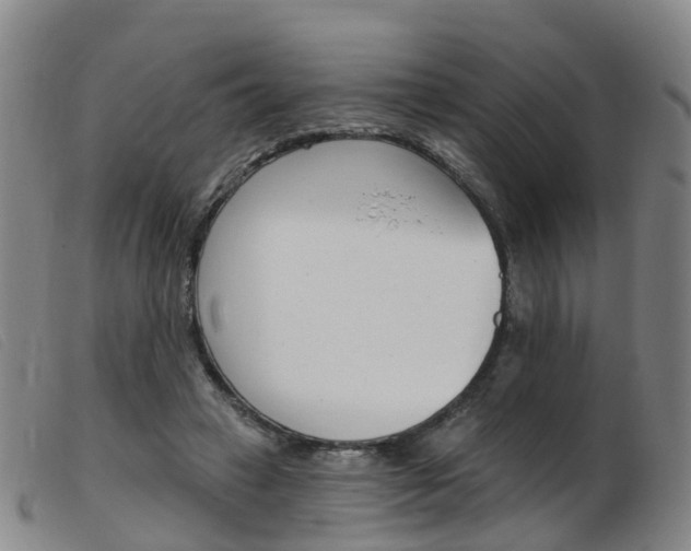 X0000103950449200809191214