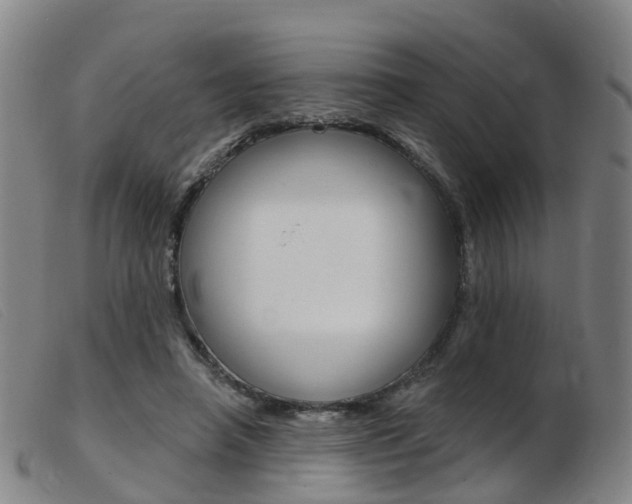 X0000103950450200809191214