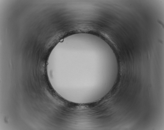 X0000103950451200809191214