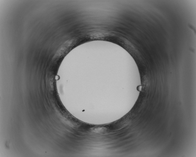 X0000103950452200809191214