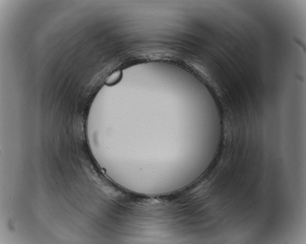 X0000103950453200809191215