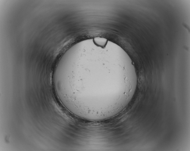 X0000103950454200809191215