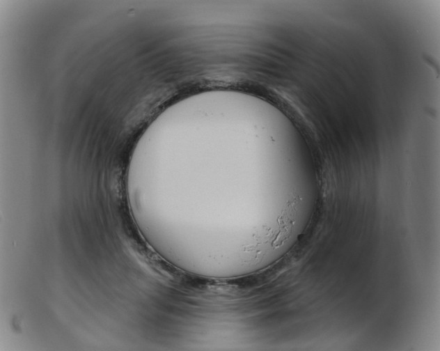 X0000103950455200809191215