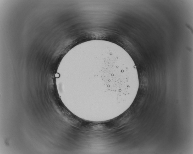X0000103950456200809191215