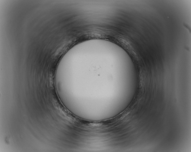 X0000103950457200809191215