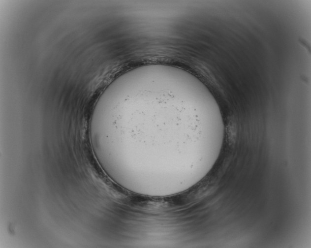X0000103950458200809191215