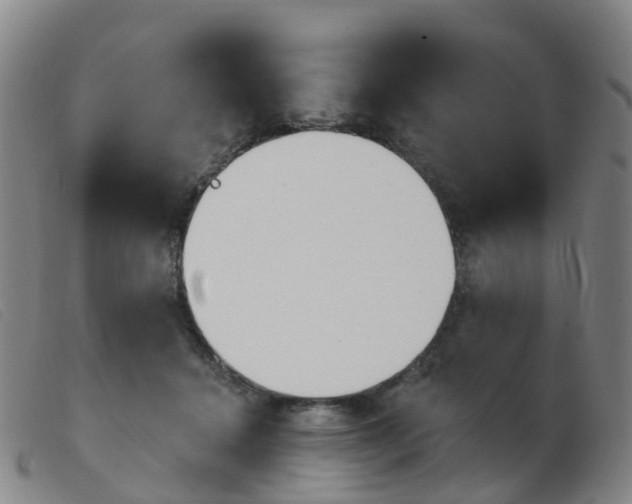 X0000103950460200809191215