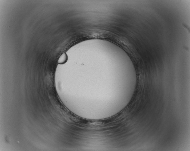 X0000103950461200809191215