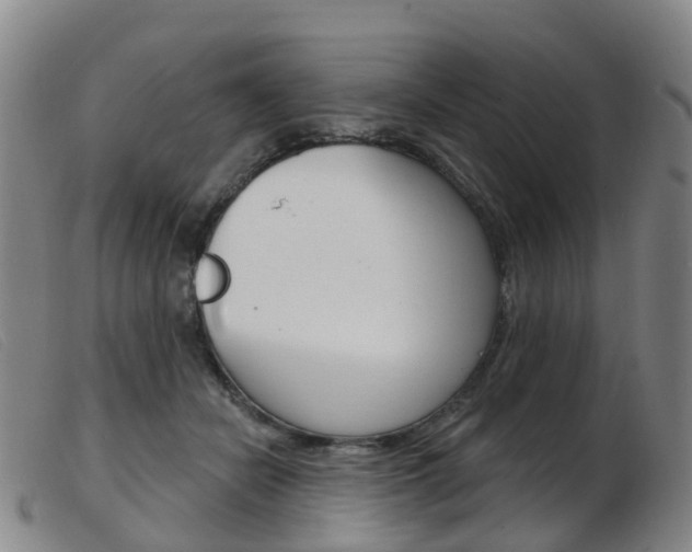 X0000103950462200809191215